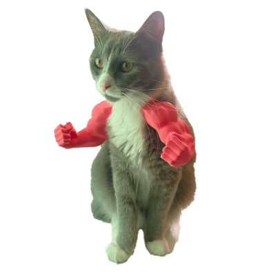 Brazos de gatos tas 17